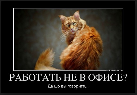 Работать не в офисе?